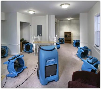 Drying & Dehumidification in Bellingham, MA