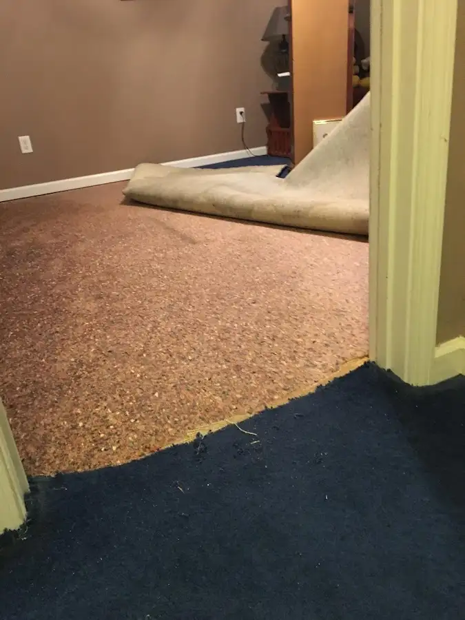 Carpet pad removal revealing water damage during Drying & Dehumidification in Bellingham