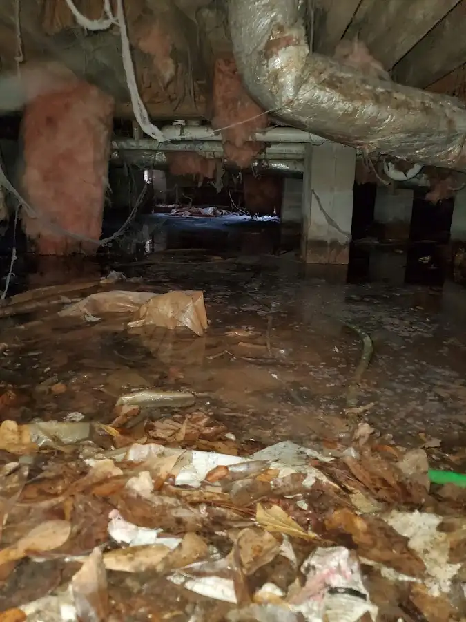 Crawl space flood assessment for Commercial Water Damage Restoration in Bellingham