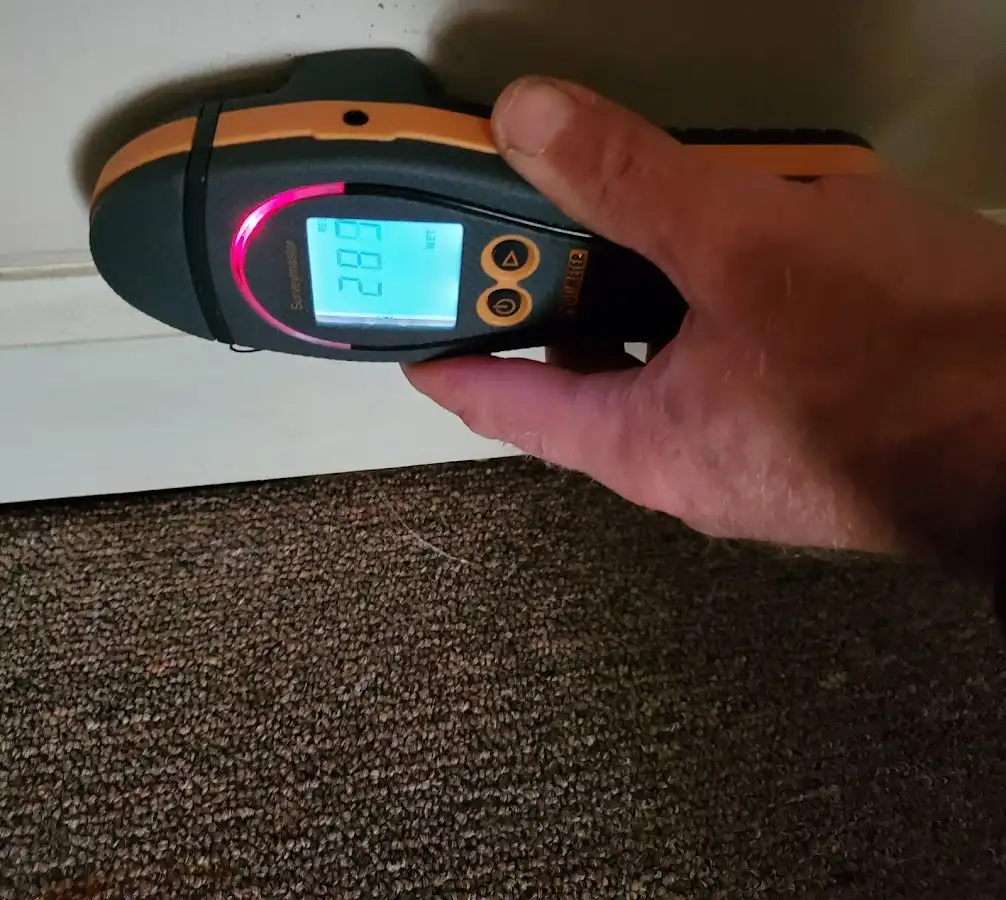 Moisture detection at baseboard during Sewage Cleanup & Sanitation in Bellingham